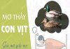 Nằm mơ thấy con vịt dự kqxsmb chuẩn xác
