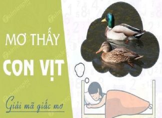 Nằm mơ thấy con vịt dự kqxsmb chuẩn xác