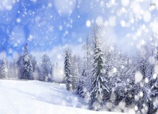 Nằm mơ thấy tuyết đánh con bao nhiêu