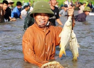 Nằm mơ thấy bắt cá là điềm báo gì?