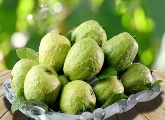 Ngủ mơ thấy quả ổi là điềm tốt hay xấu ? Đánh loto con gì ? ngu mo thay qua oi