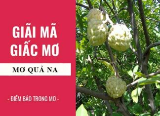 Nằm mơ thấy quả na đánh con gì, số mấy chắc ăn nhất - Nằm mơ thấy quả na là điềm gì hung hay cát? Giải mã giấc ngủ mơ thấy quả na chín