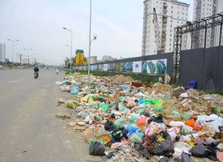 Nằm mơ thấy rác đánh con gì ăn chắc, có điềm báo gì Nằm mơ thấy rác đánh con gì ăn chắc, có điềm báo gì