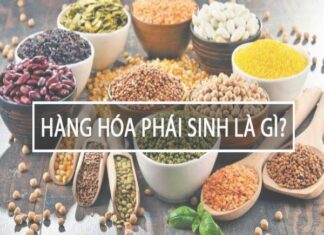 Hàng hóa phái sinh là gì? Phân loại hàng hóa phái sinh