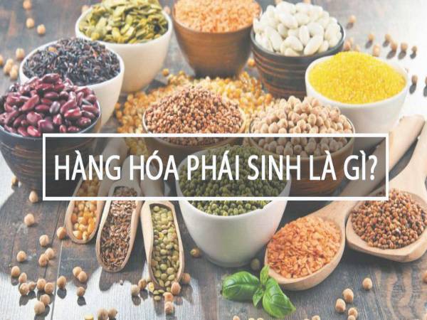 Hàng hóa phái sinh là gì? Phân loại hàng hóa phái sinh Hàng hóa phái sinh là gì? Phân loại hàng hóa phái sinh