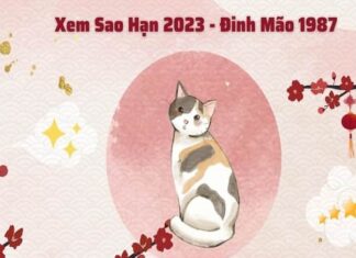 Luận giải vận hạn tuổi Đinh Mão 1987 năm 2023 nữ mạng
