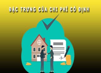 Chi phí cố định là gì có những loại chi phí cố định nào