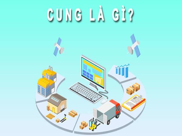 Khái niệm cung là gì? Khái niệm cung là gì?