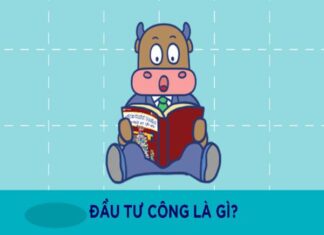 Đầu tư công là gì đặc điểm phân loại của vốn đầu tư công
