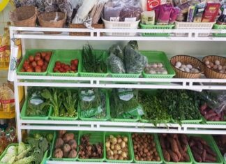 Kinh doanh gì ở nông thôn