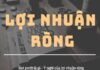 Lợi nhuận ròng là gì cách tính và các yếu tố ảnh hưởng