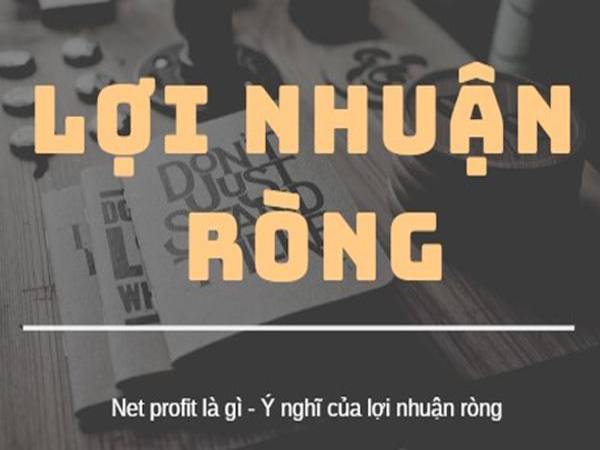 Lợi nhuận ròng là gì cách tính và các yếu tố ảnh hưởng Lợi nhuận ròng là gì cách tính và các yếu tố ảnh hưởng