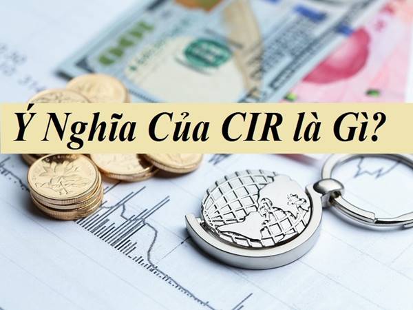 Chỉ số CIR là gì? Chỉ số CIR là gì?
