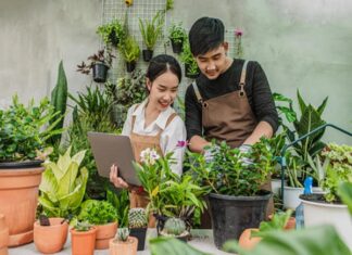 Kinh Doanh Cây Cảnh Mở Rộng Thị Trường Tiềm Năng