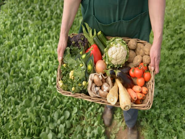 Kinh doanh nhà hàng