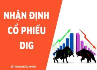 Nhận định cổ phiếu Dig