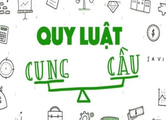 Quy luật cung cầu là gì, cách xây dựng và vận dụng Quy luật cung cầu là gì