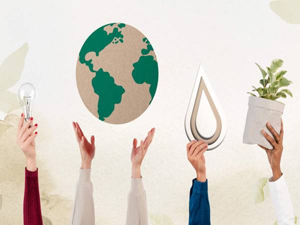 Tổ chức phi lợi nhuận là gì Tổ chức phi lợi nhuận là gì