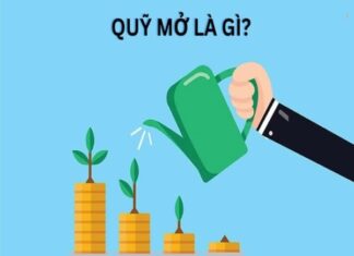 Quỹ mở là gì
