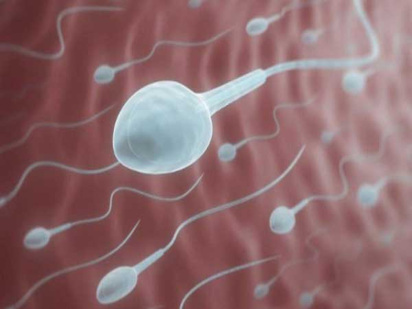 Tinh trùng sống được bao lâu trong tử cung?