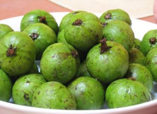 Quả sấu số mấy - Nằm mơ thấy quả sấu đánh con gì ăn chắc