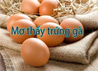 Mơ thấy trứng gà đánh con gì? Giải mã & Chọn số may mắn