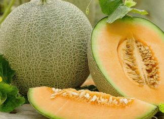 Nhìn thấy quả dưa vàng có ý nghĩa gì, số mấy trời cho?