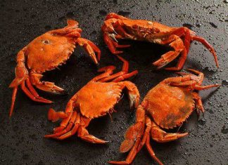 Trông thấy bắt cua có số gì may mắn có ý nghĩa gì