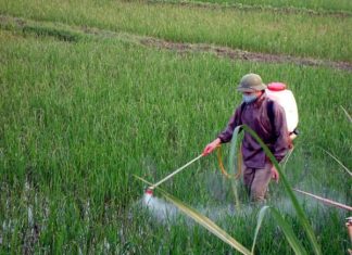 Ý nghĩa của việc Trông thấy người nông dân