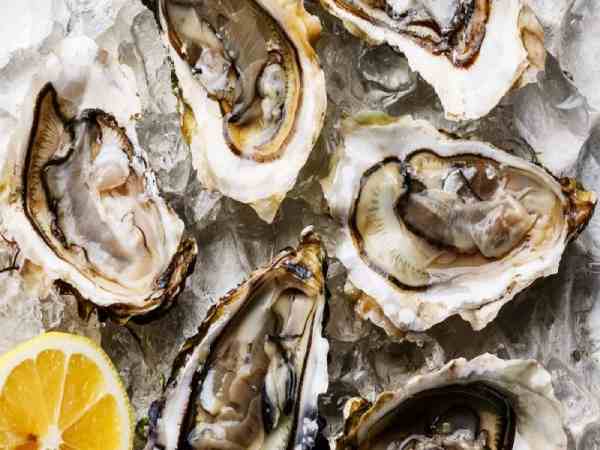 Ăn hàu tốt cho tiêu hóa Ăn hàu tốt cho tiêu hóa