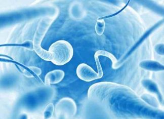 Cách phân biệt tinh trùng loãng hay đặc nhanh và chuẩn cách nhận biết tinh trùng loãng hay đặc