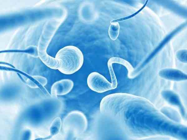 cách nhận biết tinh trùng loãng hay đặc