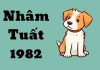 Tuổi Nhâm Tuất 1982 hợp số nào để may mắn trọn đời?​