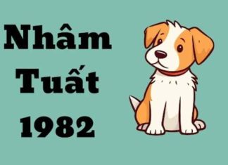 Tuổi Nhâm Tuất 1982 hợp số nào để may mắn trọn đời? Tuổi Nhâm Tuất 1982 hợp số nào để may mắn trọn đời?