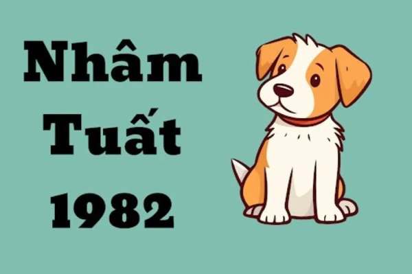 Tuổi Nhâm Tuất 1982 hợp số nào để may mắn trọn đời?​