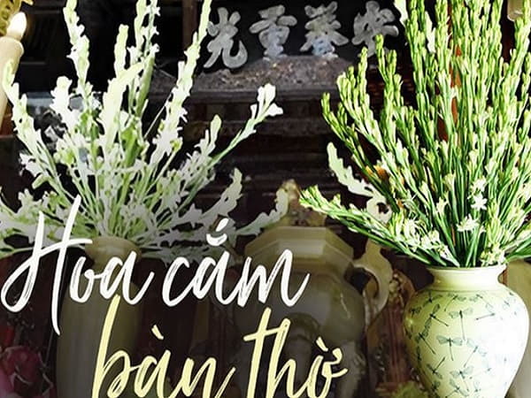 Vậy bàn thờ Thần Tài cắm hoa gì để hút tài lộc