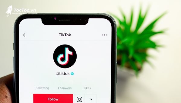 Lỗi follow quá nhanh trên TikTok Lỗi follow quá nhanh trên TikTok