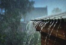 Mơ thấy trời mưa phản ánh điều gì sắp đến? Mơ thấy trời mưa phản ánh điều gì sắp đến?