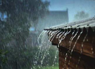 Mơ thấy trời mưa phản ánh điều gì sắp đến? Mơ thấy trời mưa phản ánh điều gì sắp đến?