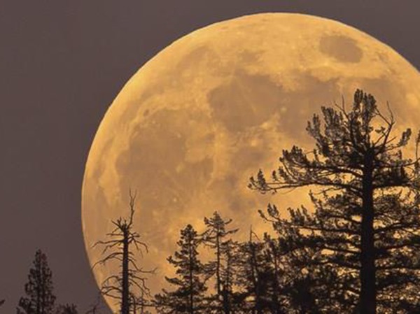 Mơ thấy mặt trăng báo mộng điềm gì, tốt hay xấu?