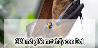 Nằm mơ thấy con dơi mang điềm báo tốt hay xấu sắp xảy ra?