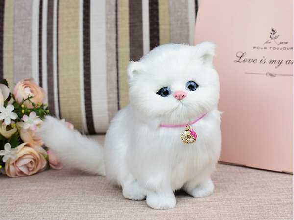 Nằm mơ thấy mèo trắng có số gì may mắn phát tài Nằm mơ thấy mèo trắng có số gì may mắn phát tài