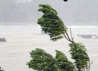 Mơ thấy gió lớn có điềm báo số gì, nên cẩn thận điều gì?