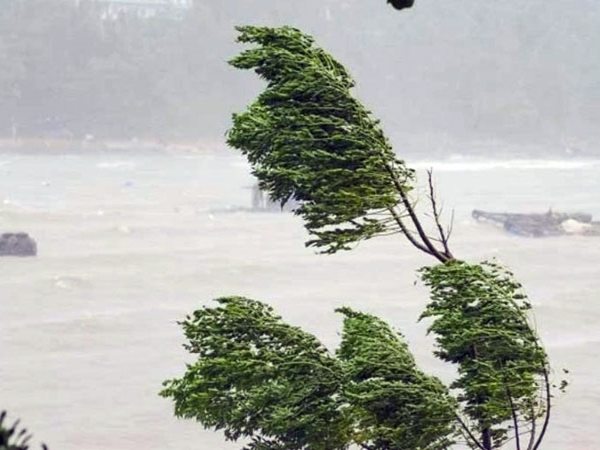 Mơ thấy gió lớn có điềm báo số gì, nên cẩn thận điều gì?