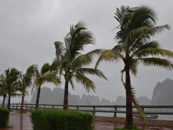 Mơ thấy gió lớn kèm mưa bão dữ dội