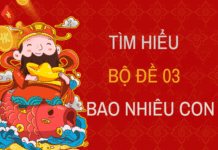 Khái niệm bộ đề 03 là gì, gồm những số nào?