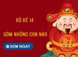 Soi cầu bộ đề 14 gồm những con gì, số nào chi tiết