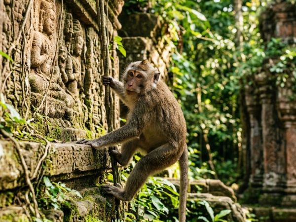 Con số may mắn ngày 19 tháng 03 thứ 5 của tuổi Thân