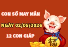 Con số may mắn hôm nay 02/05/2026 thứ 7 của 12 con giáp