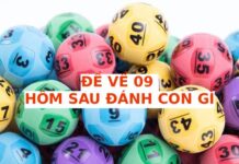Hôm trước đề về 09 hôm sau ra con gì may mắn phát tài Hôm trước đề về 09 hôm sau ra con gì may mắn phát tài